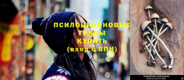 мяу мяу кристалл Краснослободск