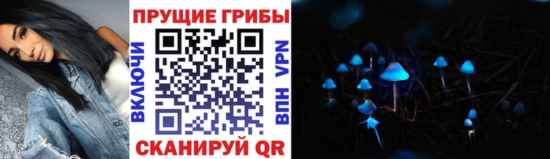 Купить закладки  Асино  Галлюциногенные грибы GOLDEN TEACHER 